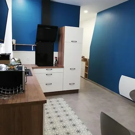 Appartement Bel Coeur De Tout Equipe Grenoble